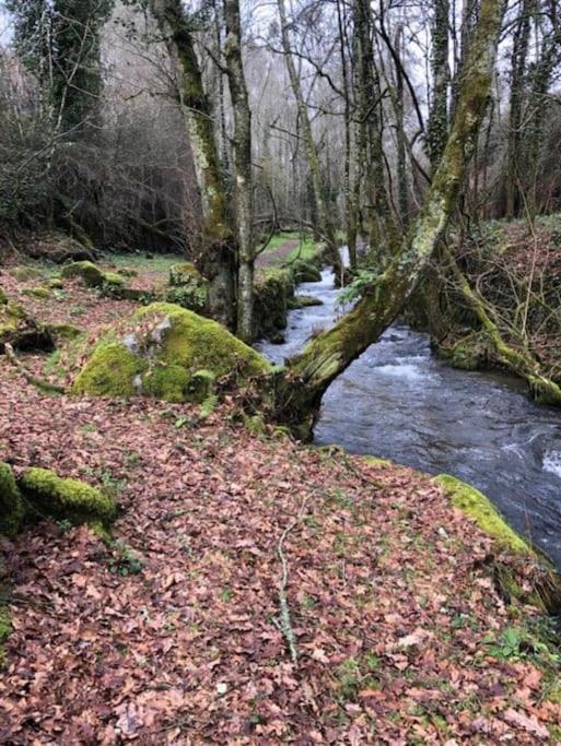 Casinha Estrela Da Encosta - Geres Villa Vieira do Minho Luaran gambar